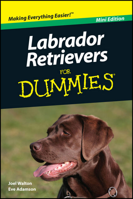 Labrador Retrievers For Dummies, Mini Edition, Eve Adamson