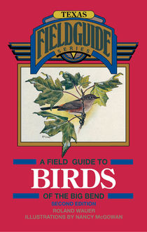 A Field Guide to Birds of the Big Bend, Roland Wauer