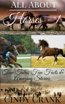 All about Horses – 1, Cindy Crank