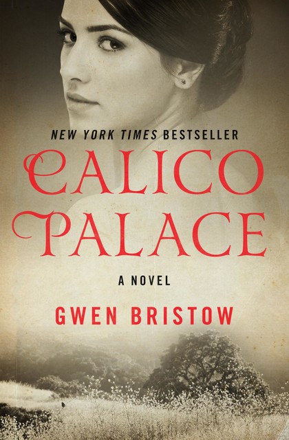 Calico Palace, Gwen Bristow