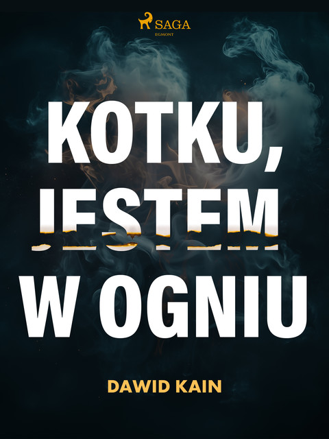 Kotku jestem w ogniu, Dawid Kain