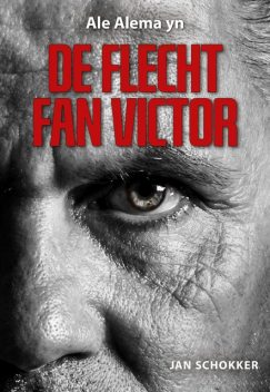 De flecht fan Victor, Jan Schokker