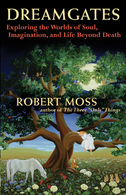 Dreamgates, Robert Moss