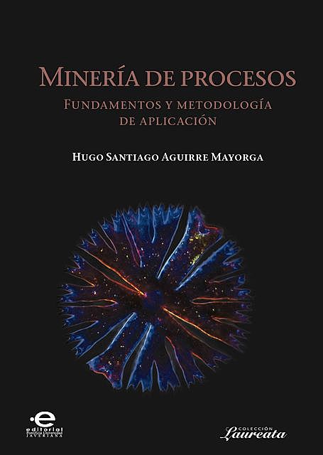 Minería de procesos, Hugo Santiago Aguirre Mayorga