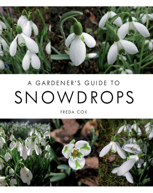Gardener's Guide to Snowdrops, Freda Cox