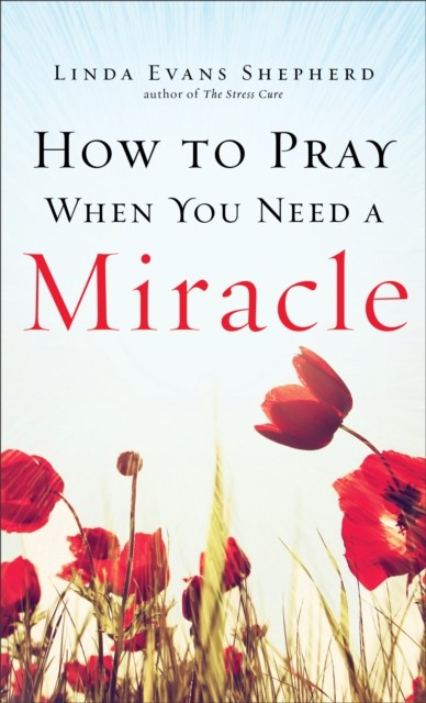 How to Pray When You Need a Miracle, Linda Evans Shepherd