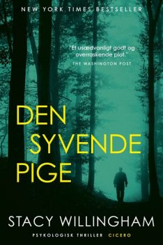 Den syvende pige, Stacy Willingham