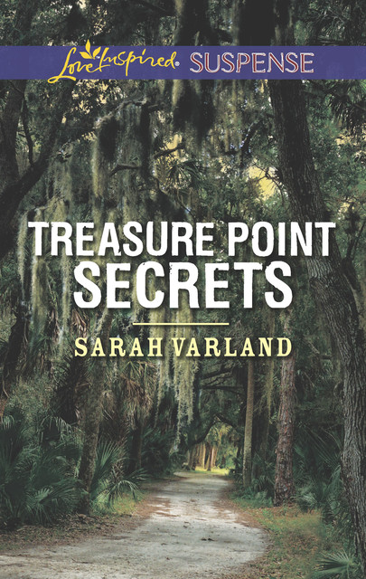 Treasure Point Secrets, Sarah Varland