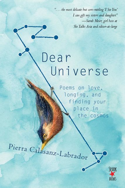 Dear Universe, Pierra Calasanz-Labrador
