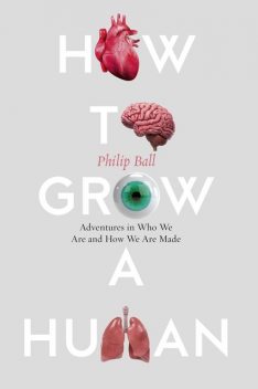 How to Grow a Human, Philip Ball