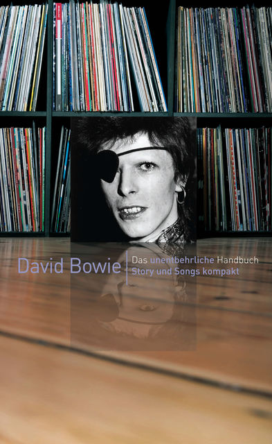 David Bowie: Story und Songs kompakt, David Buckley