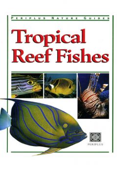 Tropical Reef Fishes, Gerald Allen