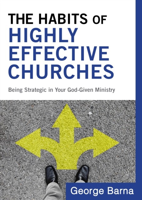 Habits of Highly Effective Churches, Barna George