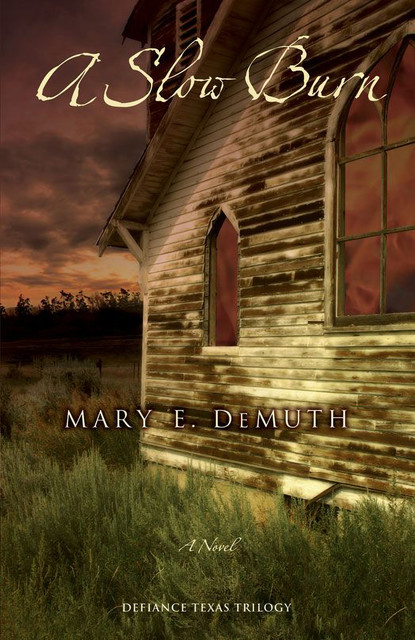 A Slow Burn, Mary E.DeMuth