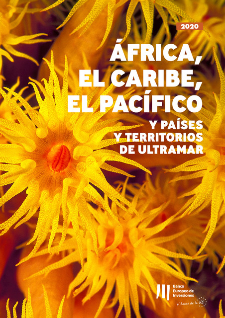 Actividad del BEI en África, el Caribe, el Pacífico y en los Países y Territorios de Ultramar, Banco Europeo de Inversiones