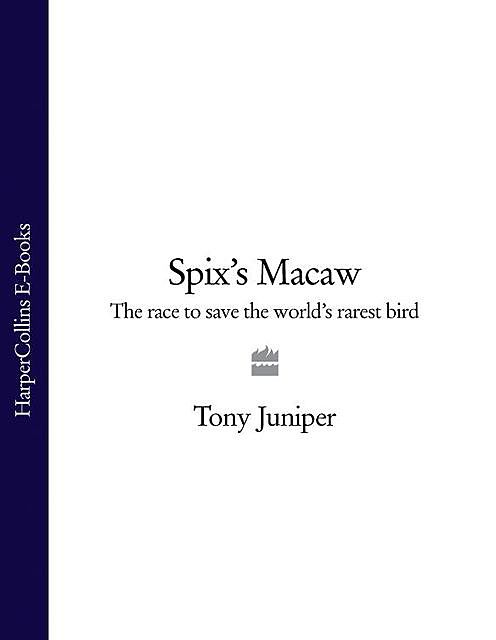 Spix’s Macaw, Tony Juniper