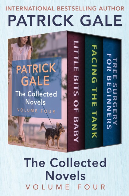 The Collected Novels Volume Four, Patrick Gale