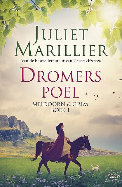 Dromerspoel, Juliet Marillier