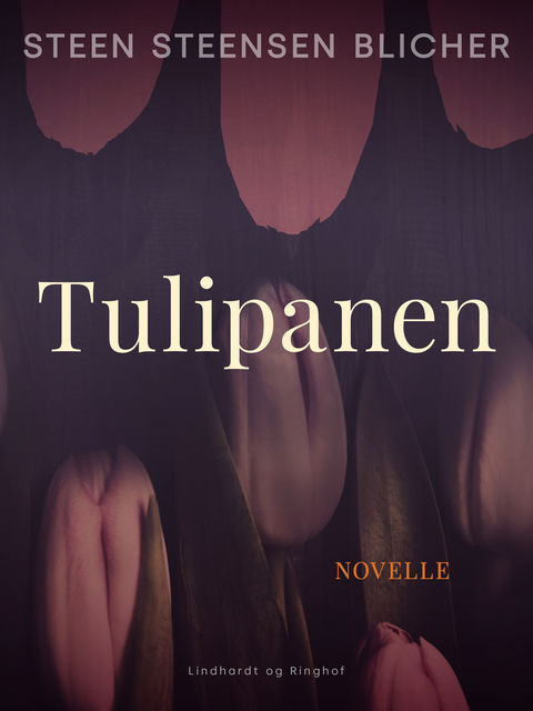 Tulipanen, Steen Steensen Blicher