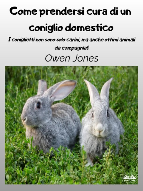 Come Prendersi Cura Di Un Coniglio Domestico-I Coniglietti Non Sono Solo Carini, Ma Anche Ottimi Animali Da Compagnia, Owen Jones