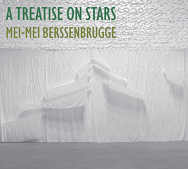 A Treatise on Stars, Mei-mei Berssenbrugge