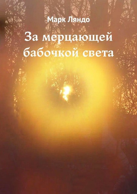 За мерцающей бабочкой света, Марк Ляндо