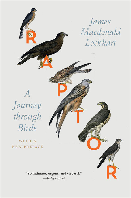 Raptor, James Macdonald Lockhart