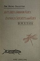 The Young Collector's Handbook of Ants, Bees, Dragon-flies, Earwigs, Crickets, and Flies Hymenoptera, Neuroptera, Orthoptera, Hemiptera, Diptera, W. Harcourt Bath