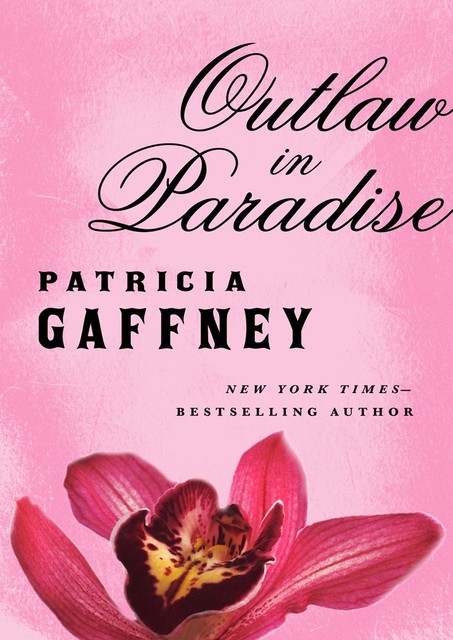 Outlaw in Paradise, Patricia Gaffney