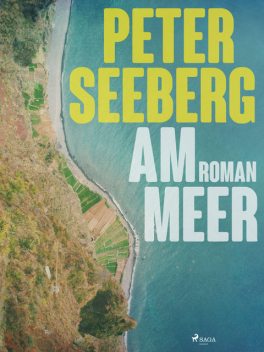 Am Meer, Peter Seeberg