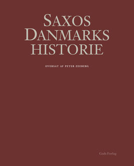 Saxos Danmarkshistorie, Grammaticus Saxo