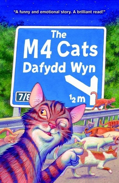 M4 Cats, Dafydd Wyn