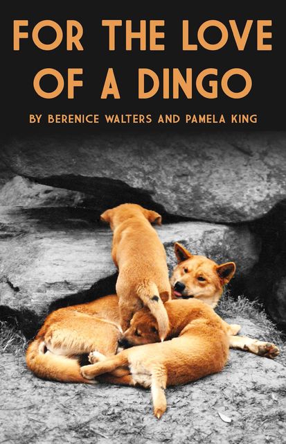 For the love of a Dingo, Pamela King