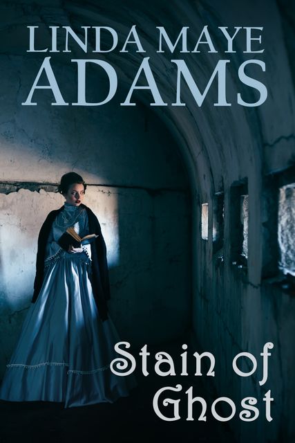 Stain of Ghost, Linda Adams