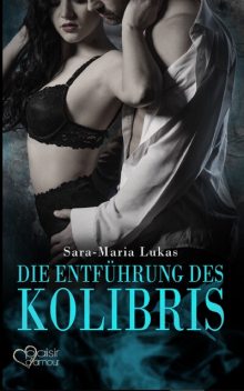 Hard & Heart 1: Die Entführung des Kolibris, Sara-Maria Lukas