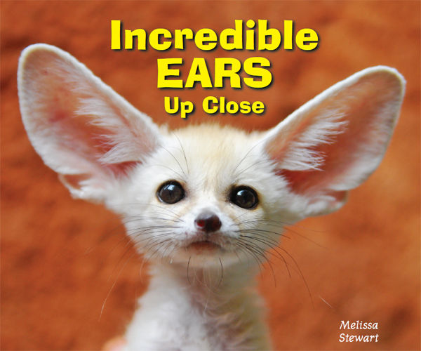 Incredible Ears Up Close, Melissa Stewart