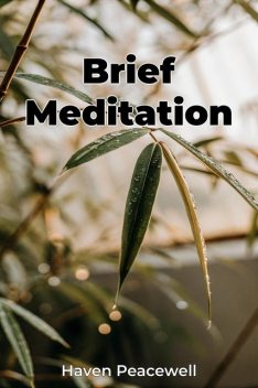 Brief Meditation, Haven Peacewell