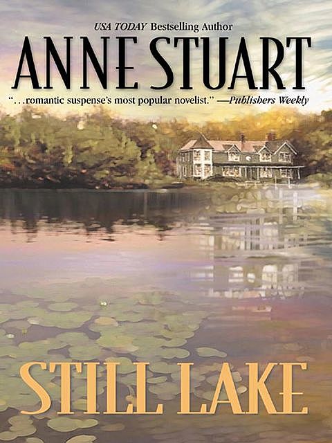Still Lake, Anne Stuart