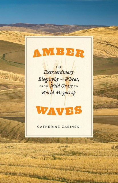 Amber Waves, Catherine Zabinski