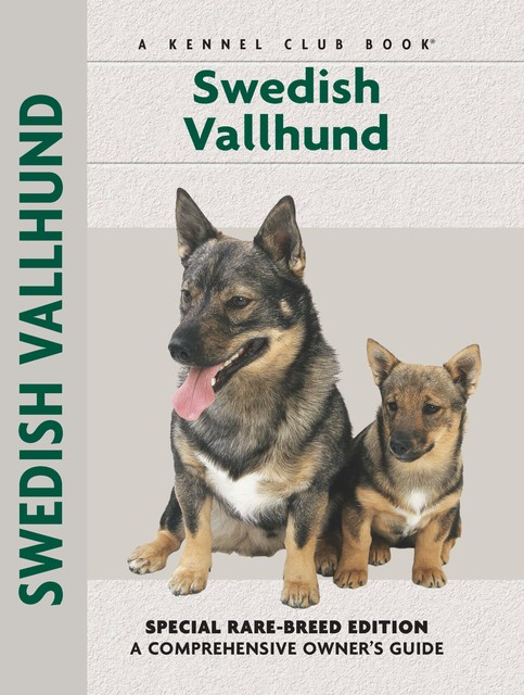 Swedish Vallhund, Janice Willton