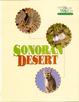 The Sonoran Desert, Wayne Lynch