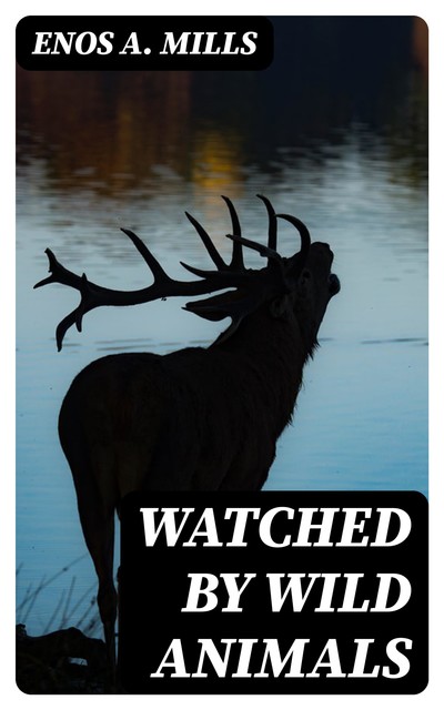 Watched by Wild Animals, Enos A. Mills