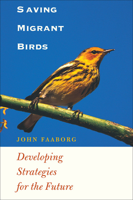Saving Migrant Birds, John Faaborg