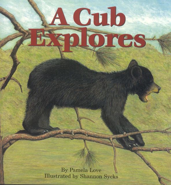 A Cub Explores, Pamela Love