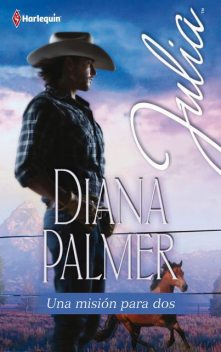 Una misión para dos, Diana Palmer