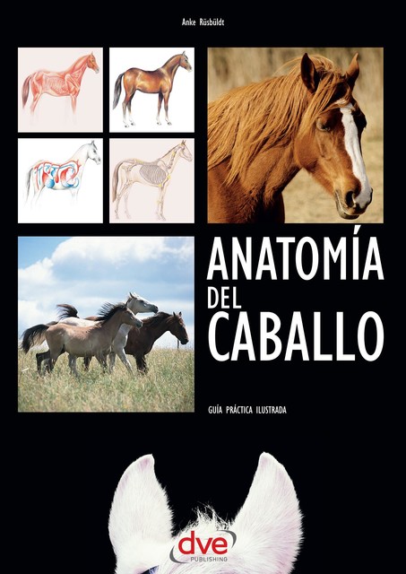 Anatomía del caballo: Guía práctica ilustrada, Anke Rüsbüldt
