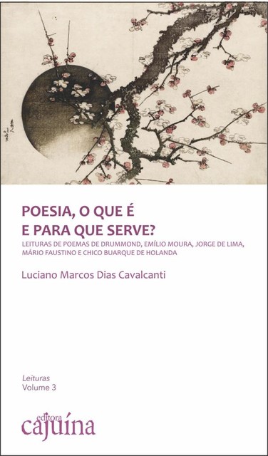 Poesia, o que é e para que serve, Luciano Marcos Dias Cavalcanti