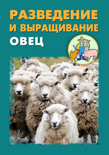 Разведение и выращивание овец, Илья Мельников