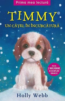 Timmy. Un cațel în încurcătură, Holly Webb