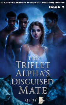 The Triplet Alpha's Disguised Mate, Quay